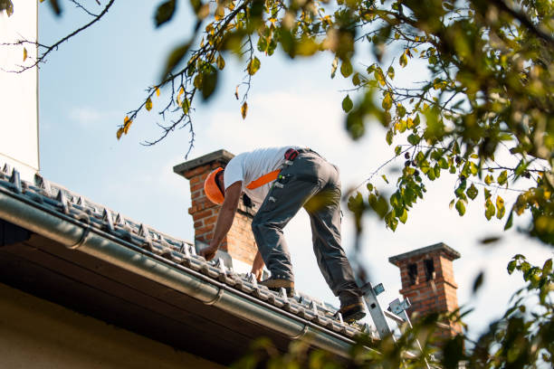 Best Flat Roof Repair Services  in Lliams Bay, WI
